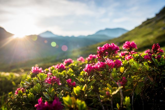 Family holidays in the Dolomites Image: Family holidays in the Dolomites